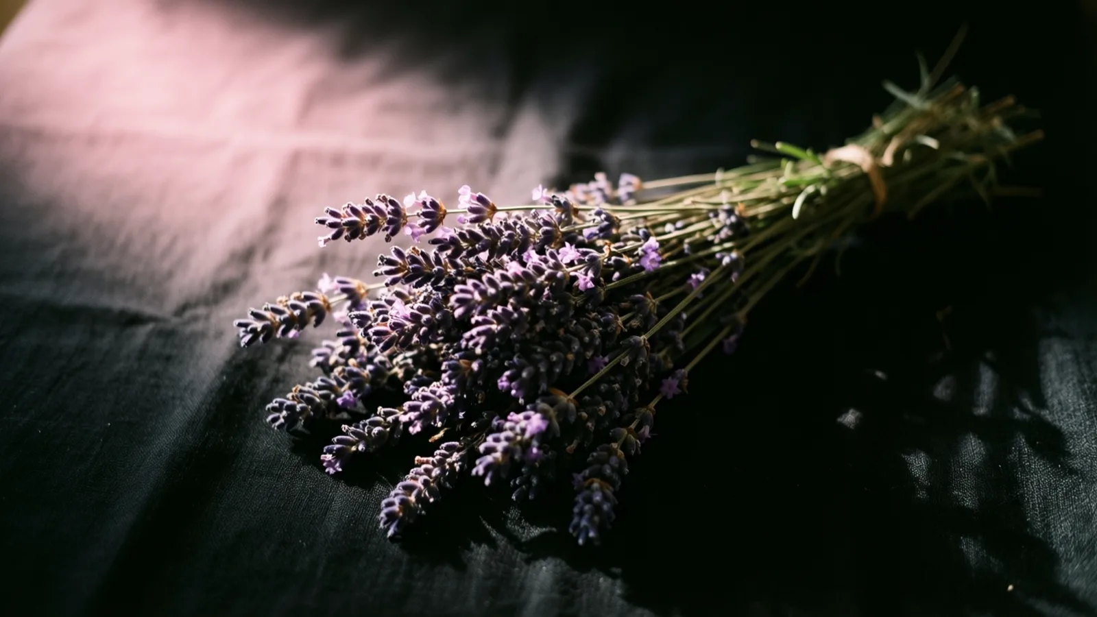 A bunch of dried lavender with purple flowers and thin green stems, tied with twine, lies on dark rumpled linen. Soft pink light falls across the upper left of the cloth while the right side stays in deep shadow.