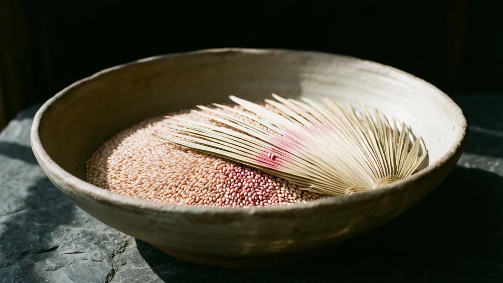 Un cuenco ancho de cerámica rugosa lleno de granos pequeños rosados y claros, con una hoja de palma seca en forma de abanico teñida de rosa sobre ellos. El cuenco descansa sobre piedra gris, iluminado desde la derecha contra la oscuridad.