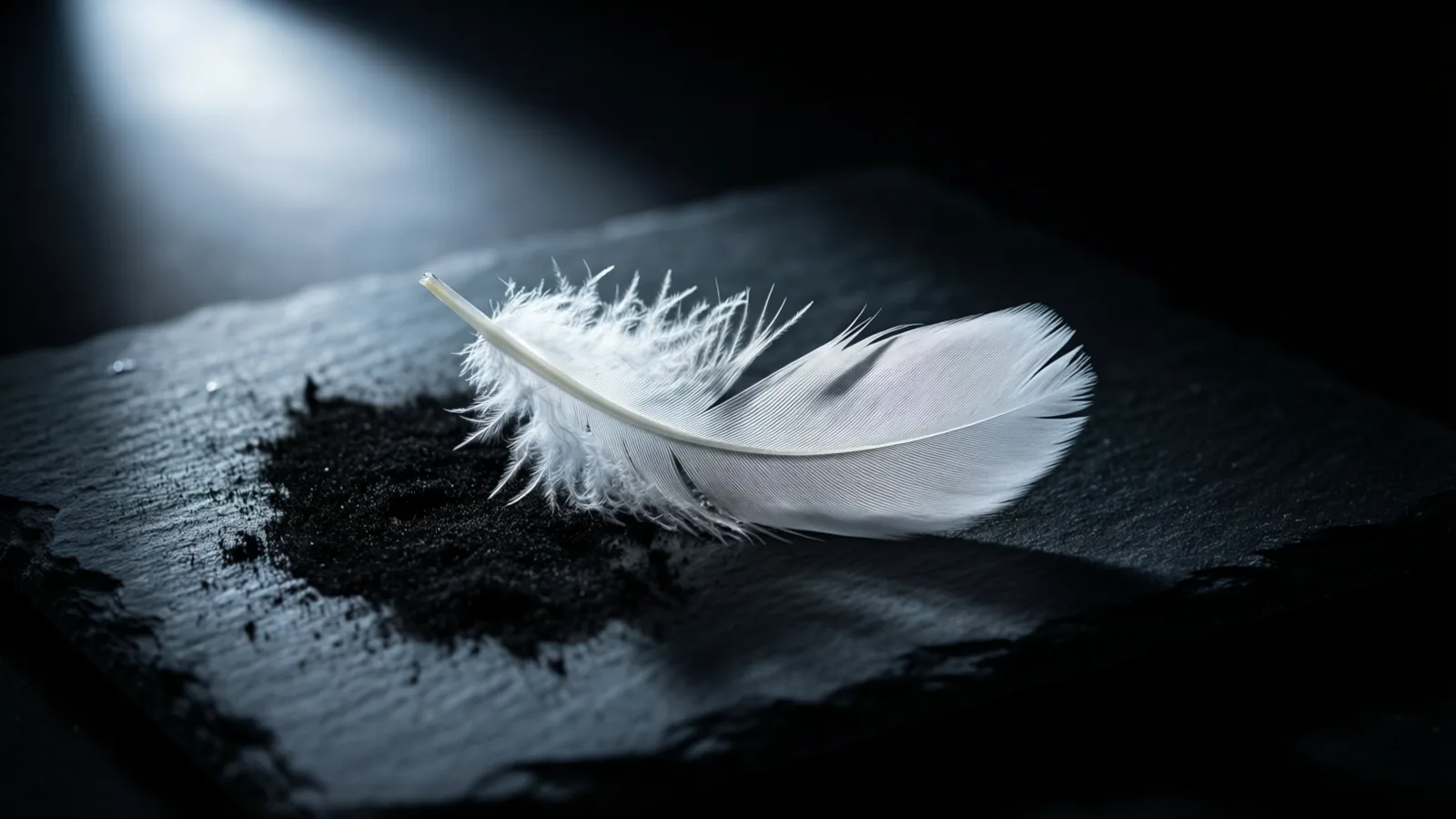 Una sola pluma blanca descansa sobre una losa de pizarra oscura, junto a un pequeño montón de polvo negro. Un haz de luz pálida y fría cae desde la esquina superior izquierda, y el fondo es oscuro.