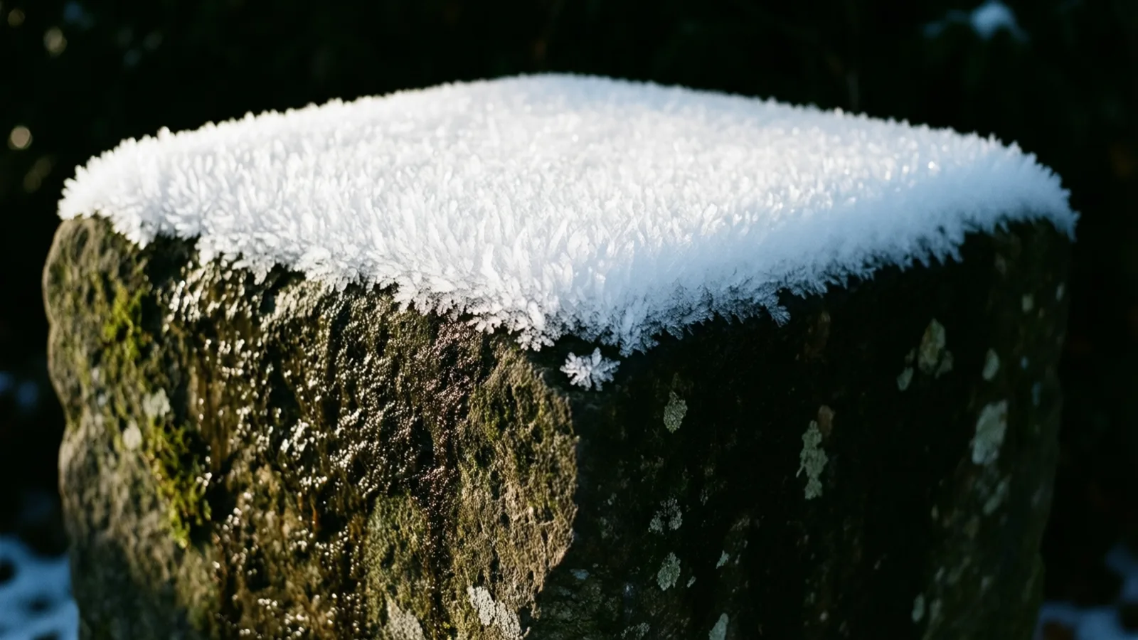 Un bloque de piedra erosionada coronado por una capa gruesa de cristales de escarcha blanca que sigue la línea del borde superior, con la roca cubierta de musgo y líquenes en sombra por debajo.