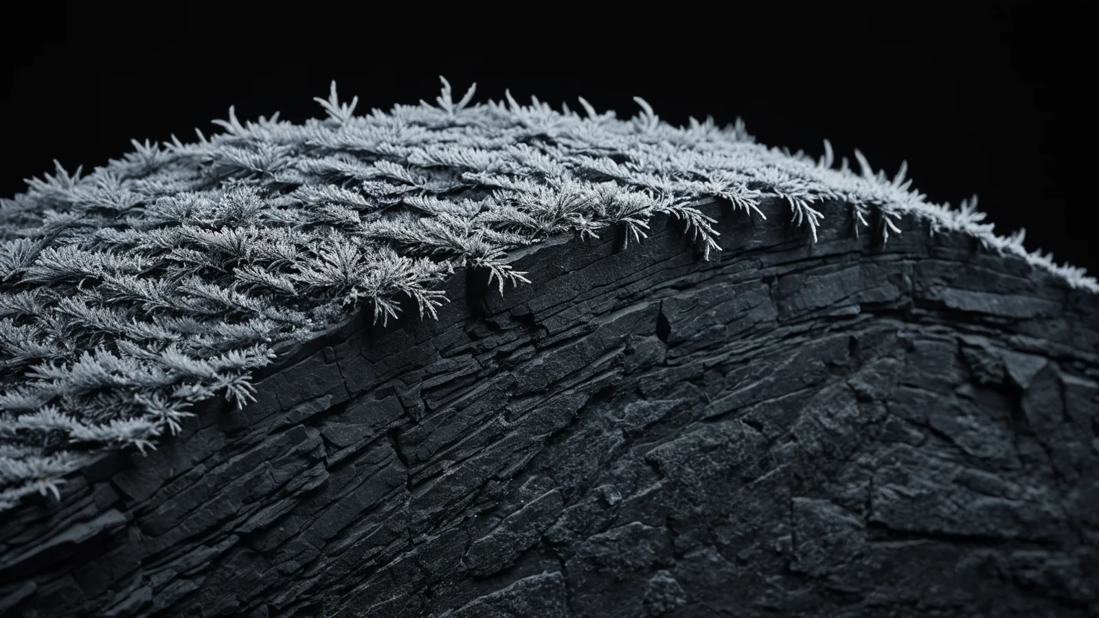 Feathery hoarfrost crystals crowning the edge of a dark layered rock, glittering against a black background.