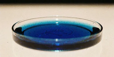 A shallow glass dish of deep cerulean copper solution lit from beneath so the liquid glows against a pale bone surface, faint ripples crossing its surface and one bright highlight on the rim.