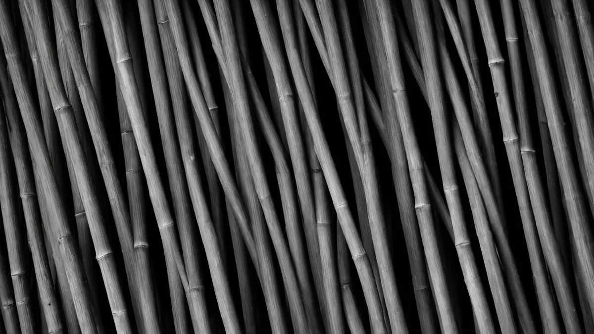 Dense parallel pale stalks packed tightly side by side, their ridged surfaces picked out by a raking light.