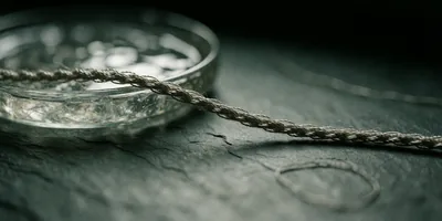 Braided suture thread laid across a dark slate bench beside a shallow glass dish of translucent collagen gel, its fibre structure caught in raking light.